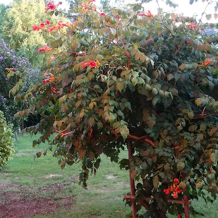 Deutsches Haus Appartement *